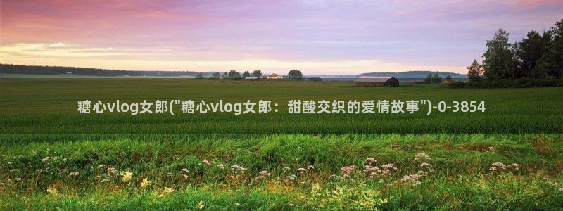 糖心vlogg