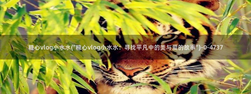 糖心.com：糖心vlog小水水(\